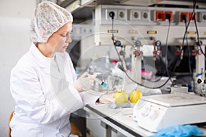 Female geneticist working in laboratory, injecting additives into apple during experiments with genetically modified