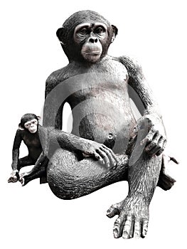 Female girilla and cute baby