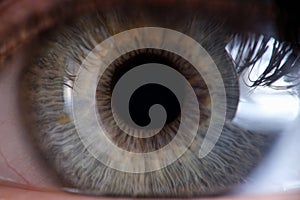 Female green-gray eye for medical examination closeup