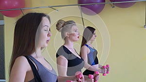 Female group doing exercise with dumbbells in a gym. 4k