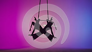 Female gymnastic duet isolated on laser blue neon studio background. Girls aerial dancers flying on gymnastic trapeze