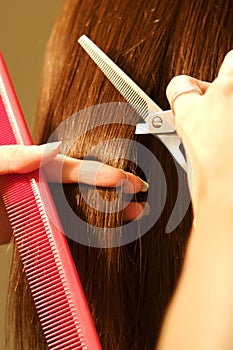 Female hair coloring at a salon