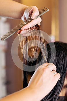 Female hair cutting scissors in a beauty salon