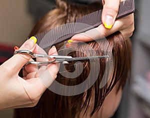 Female hair cutting scissors in a beauty salon