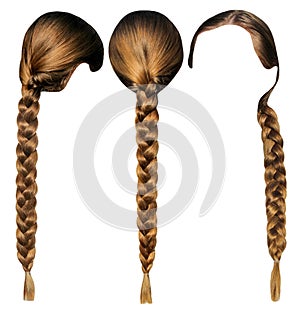 Female hair with a plait isolated set. Head with hair from different sides