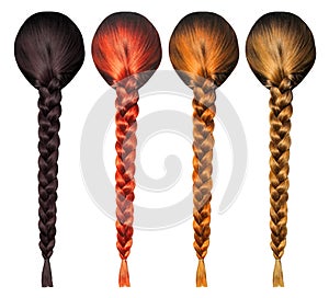 Female hair tress from behind. Girls plait isolated set. Blonde brunette brown hair