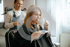 female hairdresser in modern beauty salon cutting hair