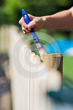 Female hand applying protective varnish on wooden fence