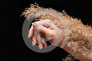Female hand with beige nail design. Glitter beige nail polish manicure. Woman hand with dry reed flower