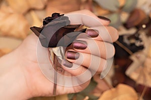 Female hand with brown nail design. Female hand hold dry autumn rose flower. Glitter brown autumn manicure