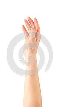 Female hand. Close up of beautiful female hand finger pointing or touching something isolated on white background with clipping