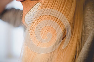 Female hand combing long blond hair wooden shovel comb close-up