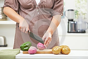 Female hand cutting onion