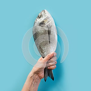 Female hand with dorado fish tail on blue paper as color of sea photo