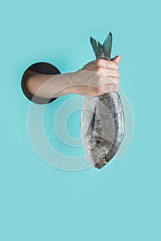 Female hand with dorado fish tail in through hole in blue paper as color of sea photo