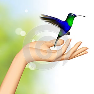 Female hand and flying hummingbird