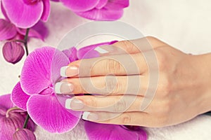 Female hand with french manicure