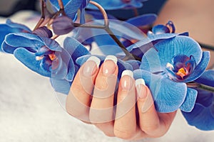 Female hand with french manicure