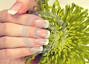 Female hand with french manicure