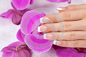 Female hand with french manicure