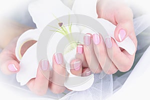 Female hand with french manicure with a white lily on a white background.