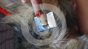 Female hand with furminator combing cute dog fur, close-up. A pile of wool, hair and grooming tool in background