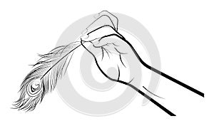 Female hand gently holds the peacock feather with two fingers. Tenderness, lightness, accuracy. Gestures. Isolated vector on white