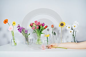 Female hand with gerbera lying on white table with row of glass vases with variation of different flowers. Colorful