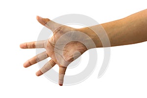 Female hand gesture showing hi five or stop sign.