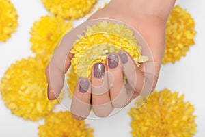 Female hand with glitter beige nail design. Beige nail polish manicure. Woman hand hold yellow orchid flower