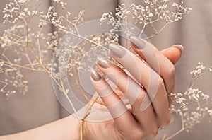 Female hand with glitter beige nail design. Female hand hold autumn flower. Woman hand on beige fabric background