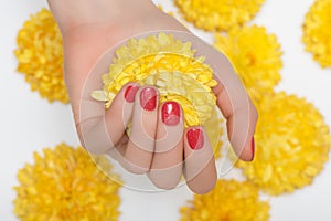 Female hand with glitter red nail design. Red nail polish manicure. Woman hand hold yellow orchid flower
