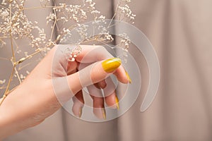 Female hand with glitter yellow nail design. Female hand hold dry autumn flower. Woman hand on beige fabric background