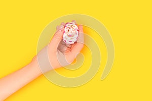 Female hand hold pink rose flower on a yellow background.