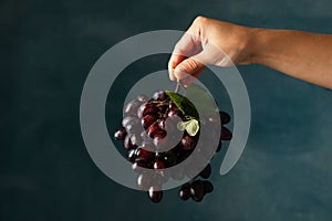 Female hand hold ripe grape on background