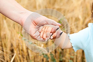 Female hand holding arm of adoptive child against yellow wheat background