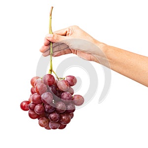 Female hand holding a bunch of red grapes