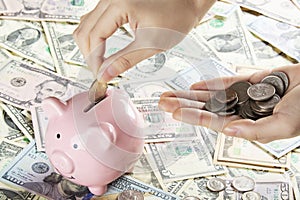 Female hand holding coins piggy bank , usd bank notes background