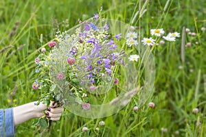 Female hand holding colorful flowers bouquet on the summer meadow. Summer, medicinal herbs concept.