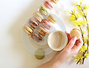 The female hand is holding a cup of coffee with macarons. White backgrounds. Flat lay, top view.