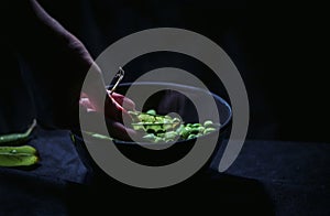 A female hand holding fresh peas in a pea pod on a reverse light, close up, 