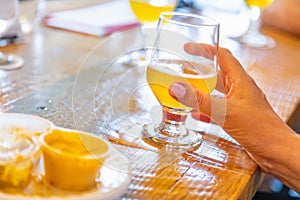 Female Hand Holding Glass of Micro Brew Beer At Bar