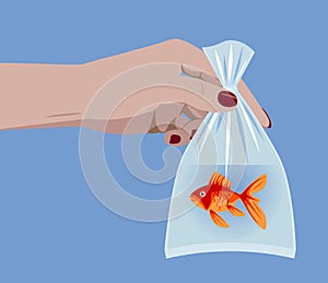 Female hand holding a goldfish in a plastic bag with water