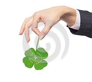 Female hand holding green clover leaf, isolated on white