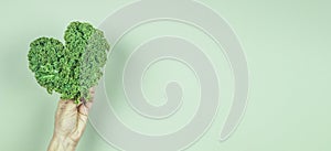 Female hand holding green heart made of fresh curly kale cabbage leaves over green background. Love of vegetarian, vegan