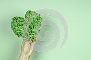 Female hand holding green heart made of fresh curly kale cabbage leaves over green background. Love of vegetarian, vegan