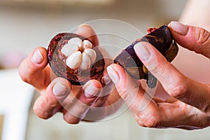 Close up halves of fresh mangosteen fruit in woman`s hand