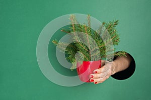 Female hand holding little creative Christmas tree through round hole in green paper.