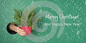 Female hand holding little creative Christmas tree through round hole in green paper