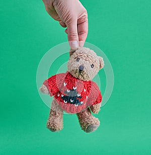 Female hand is holding a little teddy bear by the ear